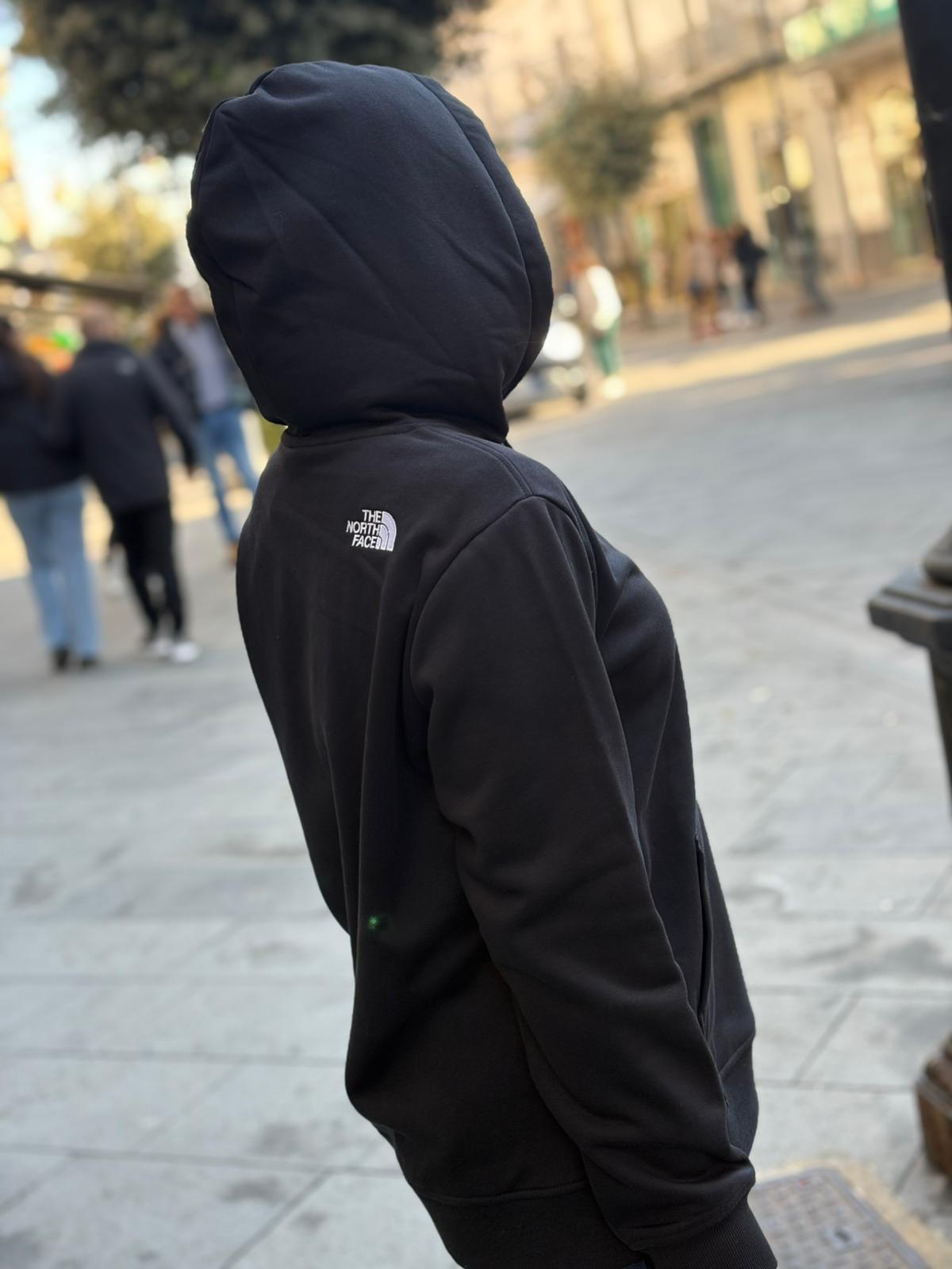 felpa The North Face con cappuccio