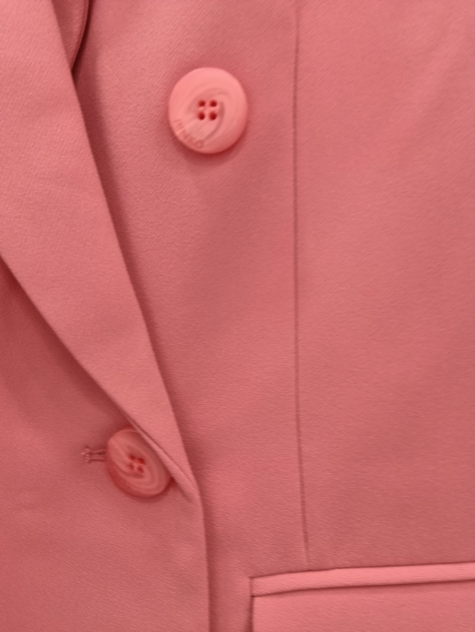 Giacca Pinko doppiopetto